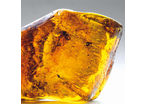 Hot melt resins