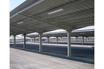 Canopies for vehicle fleet