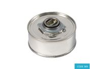 200ml Heavy Duty Tinplate Drum Lacquer lined, 19mm bung - CODE 369
