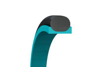  Rod Seals : Turcon® Double Delta®
