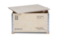 Boxes for dangerous products : RIBOX 61 DG