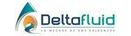 DELTAFLUID