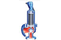 Safety valves : ARI-SAFE