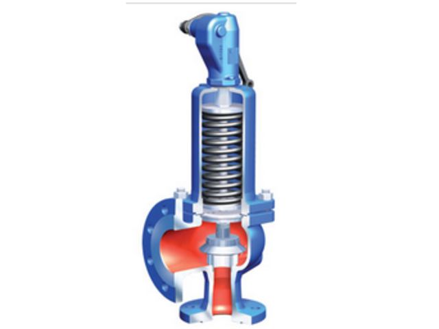 Safety valves : ARI-SAFE