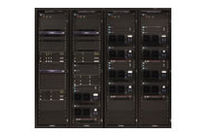 Trunked networks systems