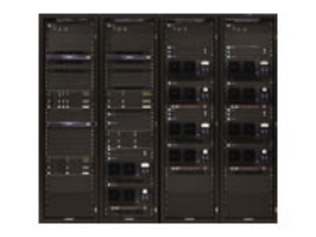 Trunked networks systems