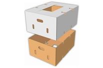 Bushel and telescopic box