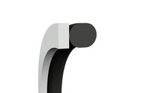  Back-Up Rings Internal Sealing (Rod) Type BU (uncut) and BG (cut)