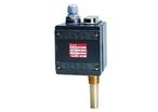 Temperature switch L2H