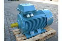 squirrel cage motor IP55 Efficiency 1