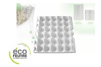 Egg Tray in moulded pulp