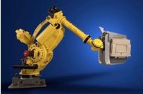 Robot M-900iA/600 (700 kg optional)