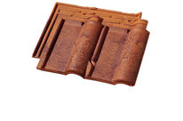 Roof Tiles Renaissance