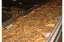 VERNA SERIES conveyor belts