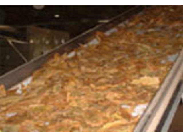 VERNA SERIES conveyor belts