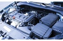 PA 6-10, PA 10-10 and PA 10-12 bio-sourced polyamides