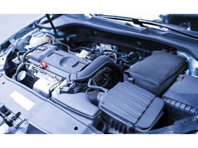 PA 6-10, PA 10-10 and PA 10-12 bio-sourced polyamides