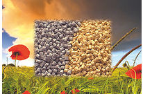 Terez® PA ECO Compounds