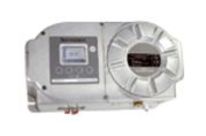 Digital oxygen analyser 1900 digital