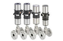 Globe valve : Type 8802GD