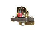Diaphragm Pressure Switches D1S