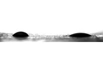 Droplet angle measurement using a goniometer