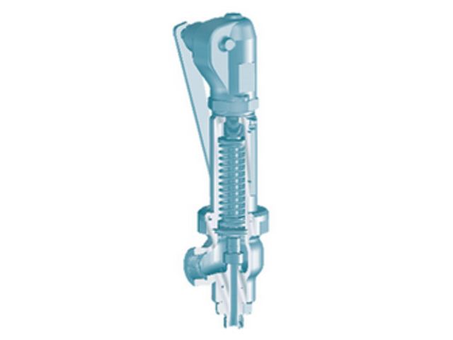 Safety valve : ARI-SAFE TC