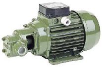 Waterpump Residential Application CFP-CF Electric Gear Pump