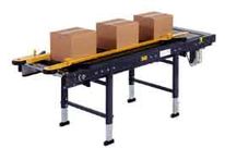 Motorized Conveyors