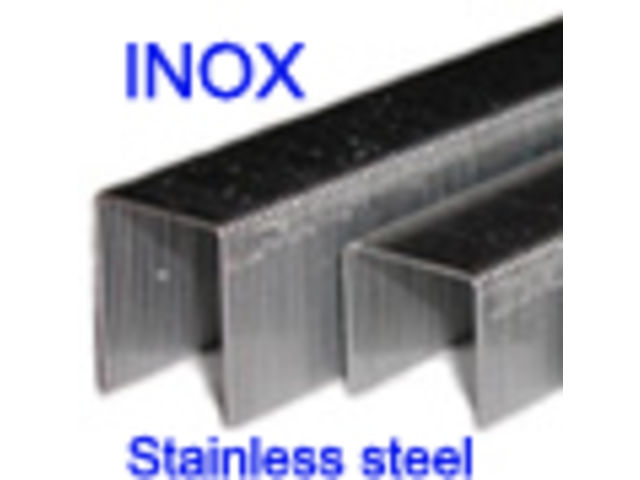 Series 80 or 380 - 1/2' Staple - Stainless steel : Ag8012in
