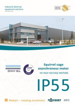 IP55 high voltage asynchronous electric motors or generators