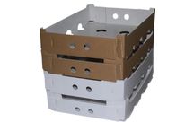 Fruit and cheese container