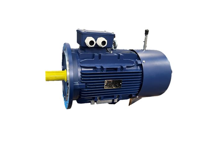 Brake motors