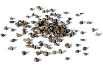 Mikrofinish-Schleifkörper: Microfinishing media KXMA