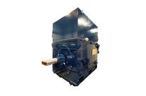 High voltage cage motors