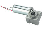 Gear motors with worm gear:MVSF 742/26