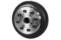 PN elastic coupling with removable hub