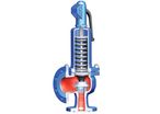 Safety valve : ARI-SAFE - TRD721