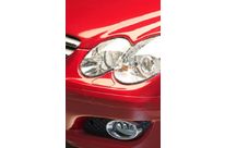 Protective agents (Thermoplastics)