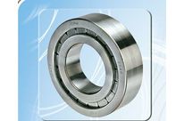 Full complement cylindrical roller bearing : ART.2540