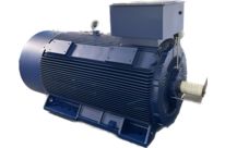 IP55 cast iron cage asynchronous motors