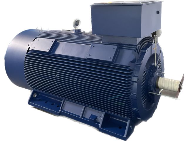 IP55 cast iron cage asynchronous motors