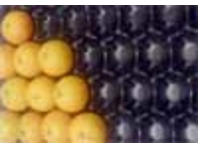 AUTOVIT Citrus