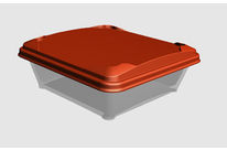 Square injected plastic box for cake, dried fruit, sauce, soft margarine…