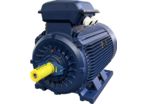 IP55 IE4 Asynchronous Motors