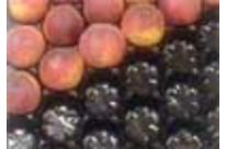 PSM Peaches - Nectarines