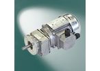 Gear motor SG-80/M50L4/197:1