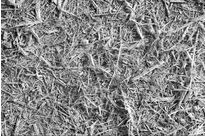 Natural Calciumsilicate : Wollastonite