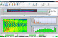 NVGate, the Teamwork Instruments Interface