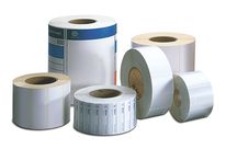 Reinforced Polypropylene TTh Blank Asset Label Rolls